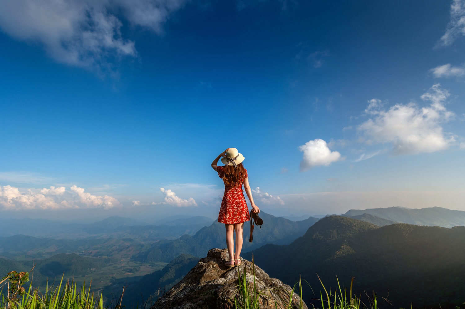 A hiker immersed in a lush landscape, highlighting the joy of exploring nature